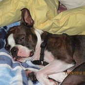 Sandi Croy's photo