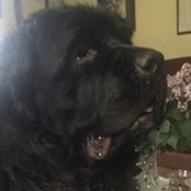 Kimberly Mello's photo