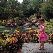 Michelle Stoller's photo