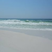 Heather Williams's photo
