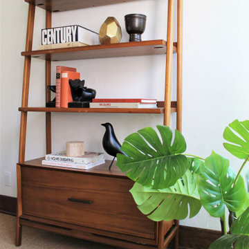 Mid Century Modern Bookcase with Monstera Plant