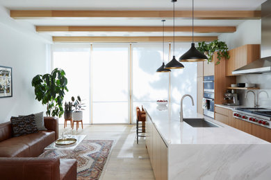 Danish kitchen photo in Toronto
