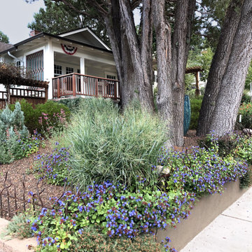 Summer Landscaping with Grasses