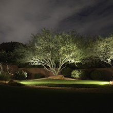 Landscape Ideas
