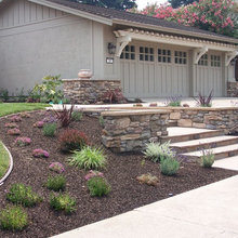 frontyard