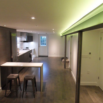 Modernization of a ground floor aprtment