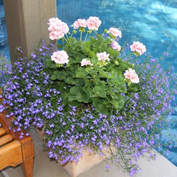 Annual Custom Containers - Outdoor Pots And Planters