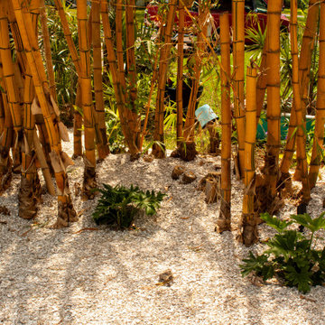 Tropical Design & Installation - South St. Petersburg