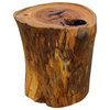 Chinese Natural Camphor Thick Wood Stem Rough Stool Table