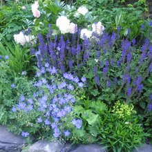Getting There.  Outside Garden