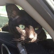 Angel Rawlinson's photo