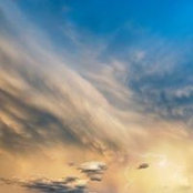 Shelley Clapp's photo