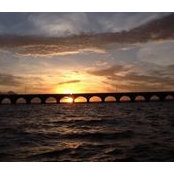 Alejandra Ojeda's photo