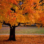 Klint Turney's photo
