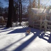 Chrissy Mastrangelo's photo