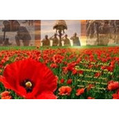 Tracey Wignall's photo