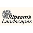 Ribsam's Landscapes's profile photo