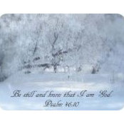 Paula Bennett's photo