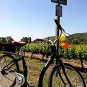 Herb Wei's photo