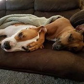 Kristin Jenkins's photo