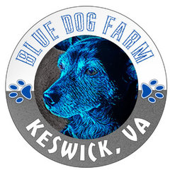 Blue Dog Farm