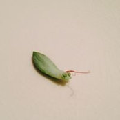 Photo de Aki Yamada