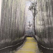 Nunzia Caronte's photo