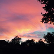 Jill G's photo