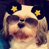 Foto von Cindy Christman