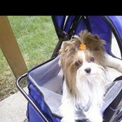 Loretta Bires-Acierno's photo