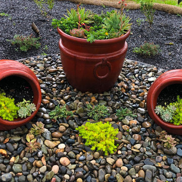 Front Yard, Back Yard, Side Yard Transformation