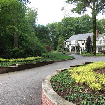 Modern Cottage Garden