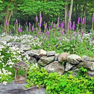 Native Landscapes