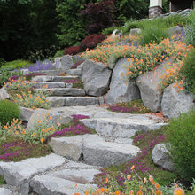 rock garden