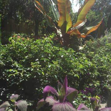 seasonal color