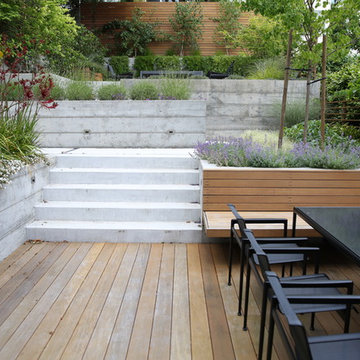 Noe Valley Escape