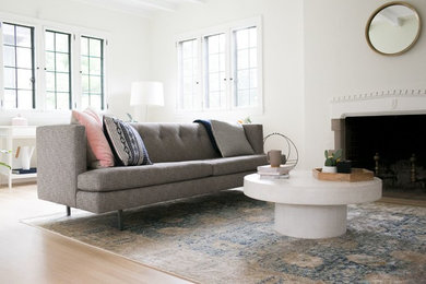 Example of a mid-sized mountain style enclosed light wood floor and brown floor family room design in Orange County with white walls, a standard fireplace, a plaster fireplace and a tv stand