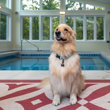 Indoor Spa and Pool Addition in Moseley