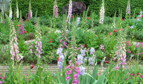 How to Create a Cottage-style Garden