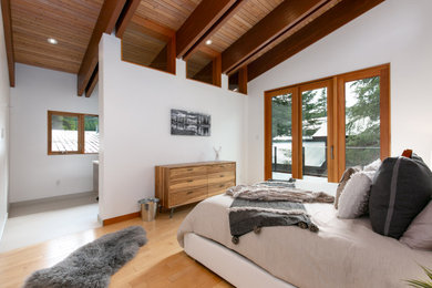 Inspiration for a large contemporary guest vaulted ceiling bedroom remodel in Other with white walls