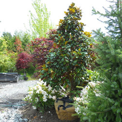 May 25th, 2012 002.JPG - Plants