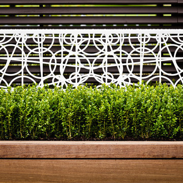The Contemporary Terrace