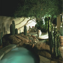 Patio Ideas