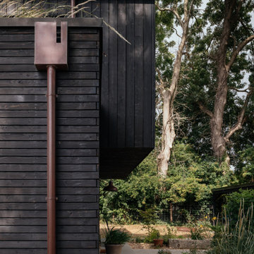Black Timber House