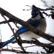 Tammy Otter's photo