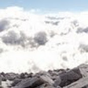 Jacki Philipps's photo