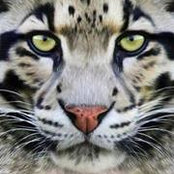 Foto von Kitty Fitzgerald