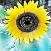 Foto von Missy McGraw