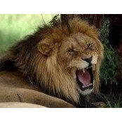 Hytham Abu Saleh's photo