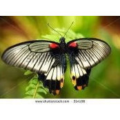 Kimberly Atwell's photo